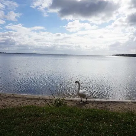 Mimosa Comfortable Casa vacanze Lacanau